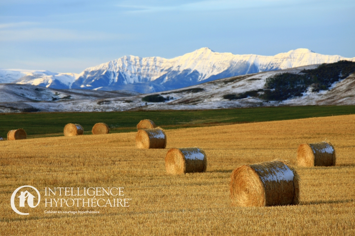 Calgary VS Alberta avec Intelligence Hypothécaire
