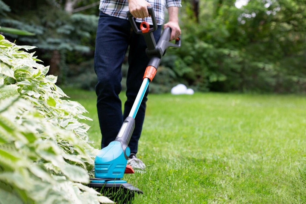 How to properly care for your lawn - Multi-Prêts Mortgages