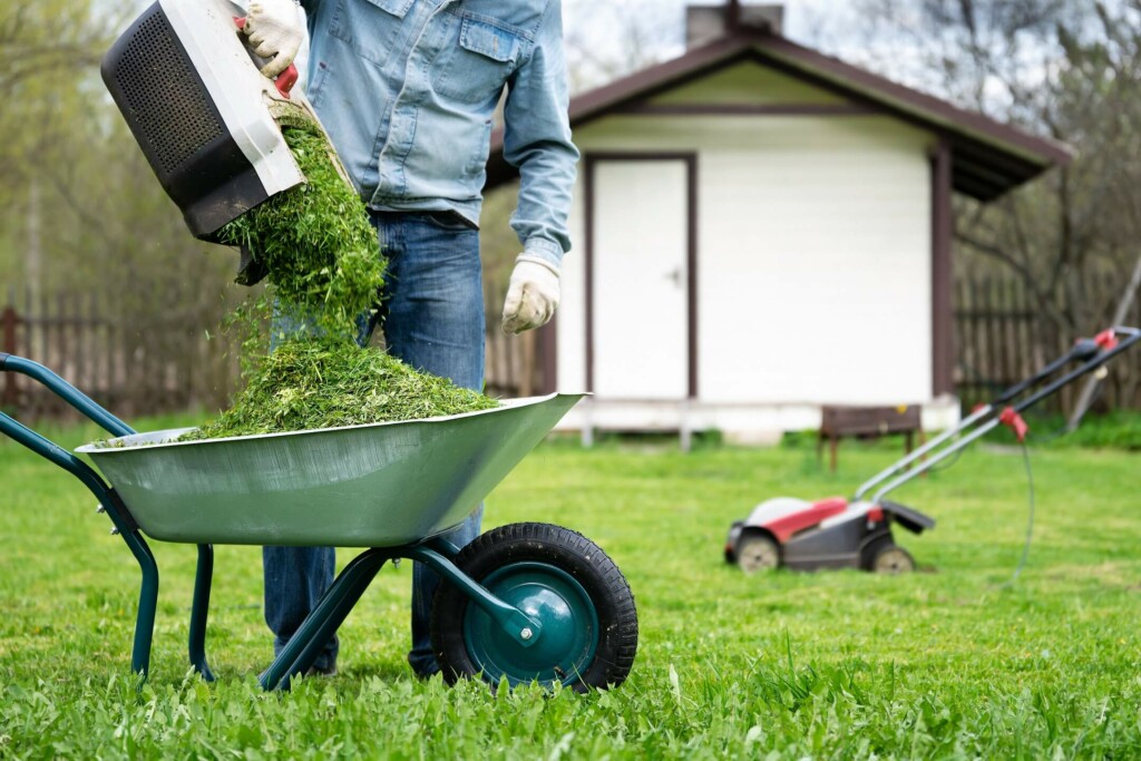 Comment bien entretenir sa pelouse - Multi-Prêts Hypothèques
