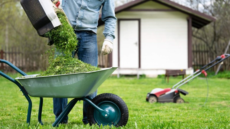 Comment bien entretenir sa pelouse - Multi-Prêts Hypothèques