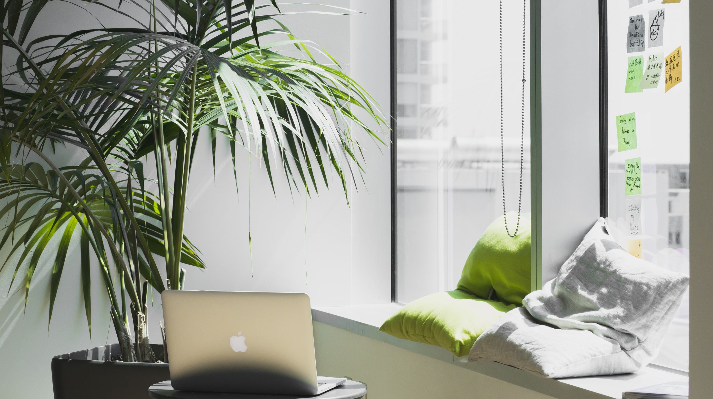 Bright office with laptop, comfortable cushions and plants - An exceptional career - A complete range of products - Careers | Multi-Prêts Hypothèques