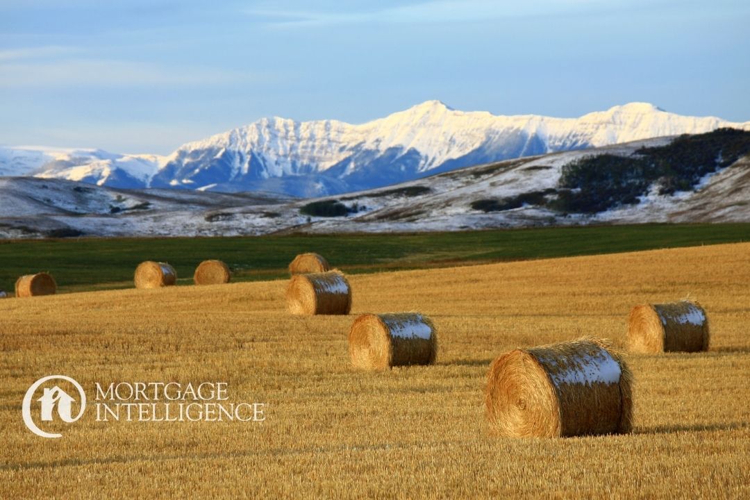 Calgary vs. Rural Alberta with Mortgage Intelligence