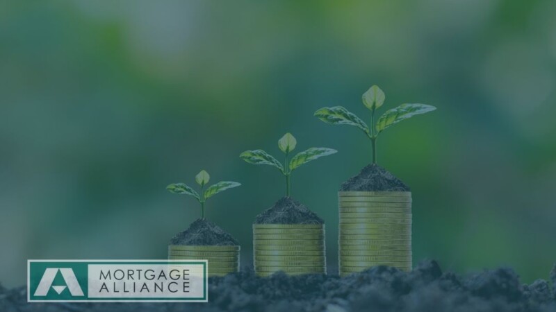 Cash Flow Management with TMAC